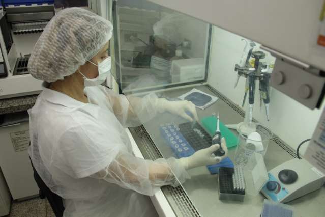 Exame que detecta dengue aumenta em 900% demanda em laborat&oacute;rio
