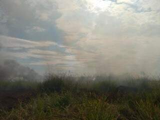 Fumaça saindo de terreno incendiado no Caiobá II (Foto: Mayara Bueno) 