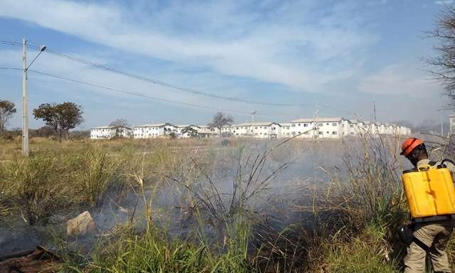 Bombeiros combateram 5 inc&ecirc;ndios de ontem para hoje no Pantanal 
