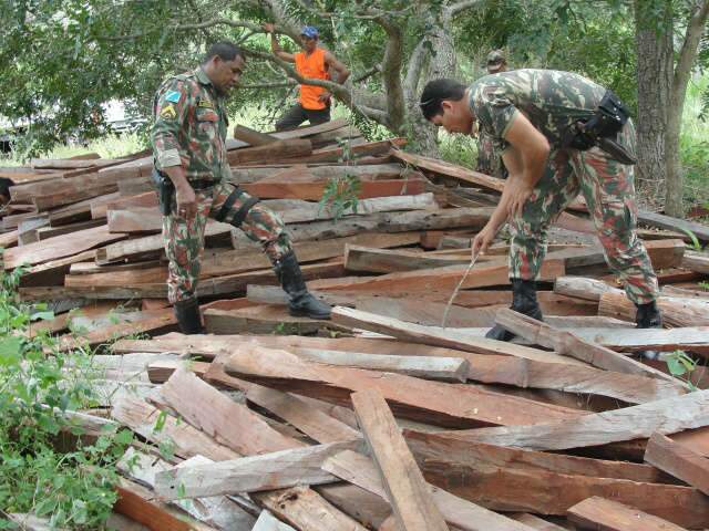  Fazendeiro &eacute; multado em quase R$ 15 mil por extra&ccedil;&atilde;o ilegal de madeira