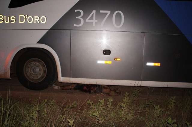 Motoristas b&ecirc;bados pegam &ocirc;nibus sem autoriza&ccedil;&atilde;o e um deles morre esmagado 