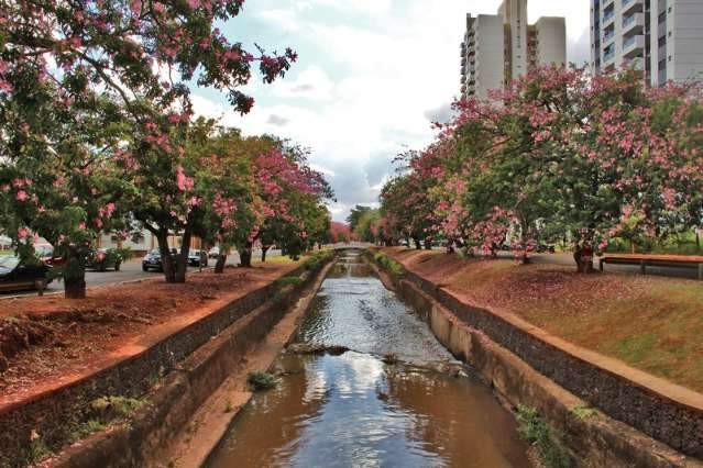 Feriado com calor de 37&ordm;C e previs&atilde;o de pancadas de chuva em MS 