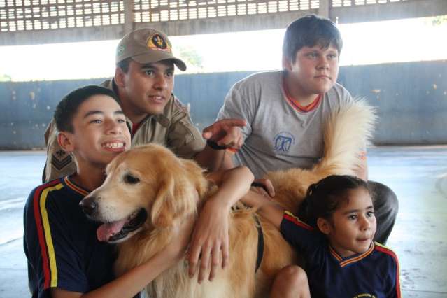 C&atilde;es s&atilde;o treinados para terapia de alunos especiais em escola p&uacute;blica