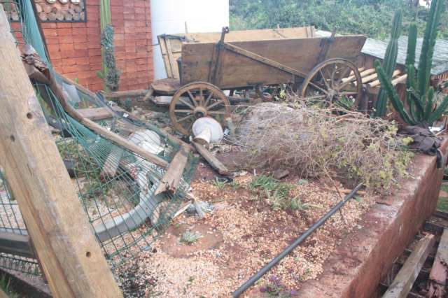 Condutora perde controle e ve&iacute;culo invade floricultura na Interlagos