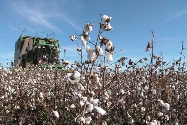 Agricultores contaram com R$ 85 milh&otilde;es para apoio &agrave; comercializa&ccedil;&atilde;o