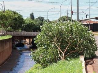 Para ajudar motorista, pessoas organizaram &quot;resgate&quot; durante a madrugada