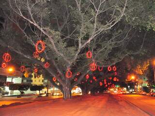Na região central bolas vermelhas é que enfeitam as árvores centenárias. (Foto: João Garrigó)