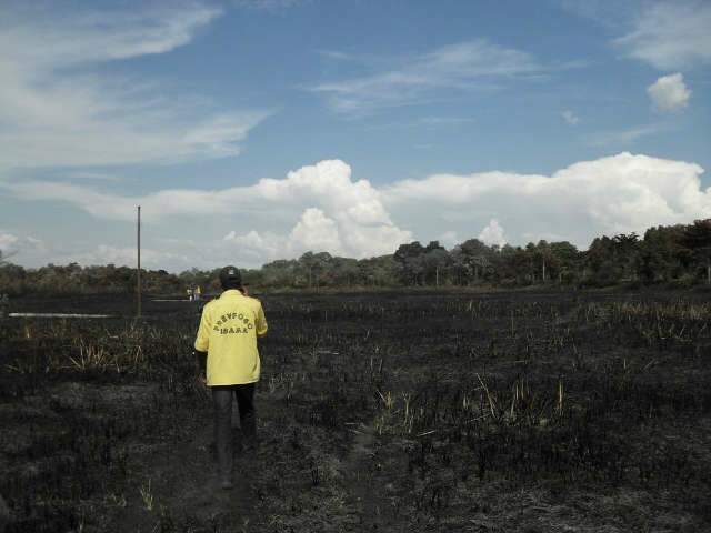  Inc&ecirc;ndio destr&oacute;i cerca de 30 km quadrados de fazenda em Corumb&aacute;