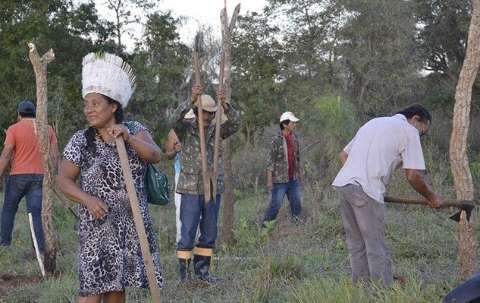 Juiz mantém índios em área invadida e dá 120 dias para retirada de gado