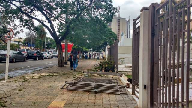 Barulho de &aacute;rvore caindo em port&atilde;o de edif&iacute;cio assustou vizinhos na Afonso Pena