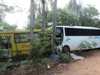 Motorista também acabou atingido um ônibus da empresa Andorinha. (Foto: Divulgação/Polícia Civil)