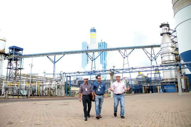 MSG&Aacute;S vai dobrar fornecimento para acompanhar expans&atilde;o da Fibria