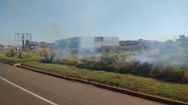 Fogo em vegeta&ccedil;&atilde;o forma cortina de fuma&ccedil;a e causa acidente grave