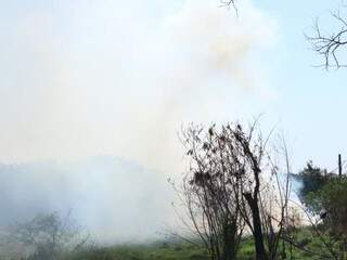 Fumaça tomou conta de área incendiada. (Foto: Henrique Kawaminami)