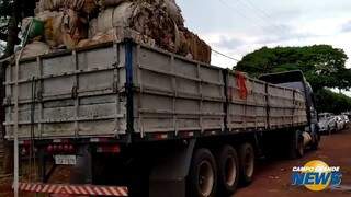Caminhão roubado no Rio Grande do Sul escondia 1.600 quilos de maconha