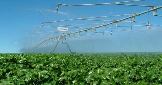 Energisa planeja construir subesta&ccedil;&atilde;o de energia para irriga&ccedil;&atilde;o de lavouras