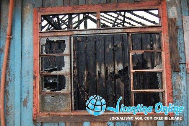 Gato vira her&oacute;i ao salvar irm&atilde;os de morrerem queimados em F&aacute;tima do Sul