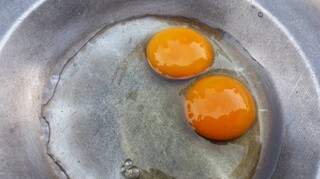 Ovos com duas gemas para combater o vício e a violência