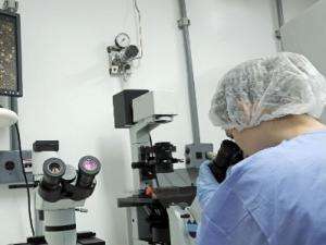 Descoberta de zika v&iacute;rus em urina e saliva gera recomenda&ccedil;&otilde;es &agrave;s gestantes