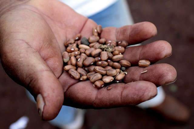  Funai entrega leite em p&oacute; vencido em aldeia ind&iacute;gena de Dourados 
