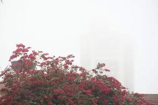Cidade encoberta por nevoeiro. (Foto: Marcos Ermínio)