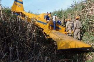 Avião caiu em meio a plantação de cana. (Foto: Marcos Donzeli)