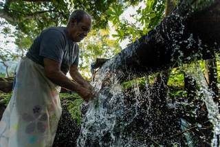 Além de cultivado em água corrente, agrião é lavado por Carlos todos os dias em bica d&#039;água. (Foto: André Bittar)