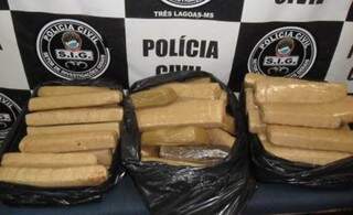 Os tabletes de maconha encontrados pelo tratorista em uma fazenda de eucalipto em Três Lagoas (Foto: Polícia Civil/Divulgação)
