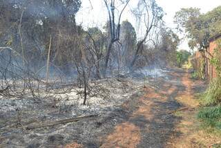 Incêndio já destruiu 20 hectares do parque. Área de preservação é vizinha à residências. (Foto: Nicholas Vasconcelos)