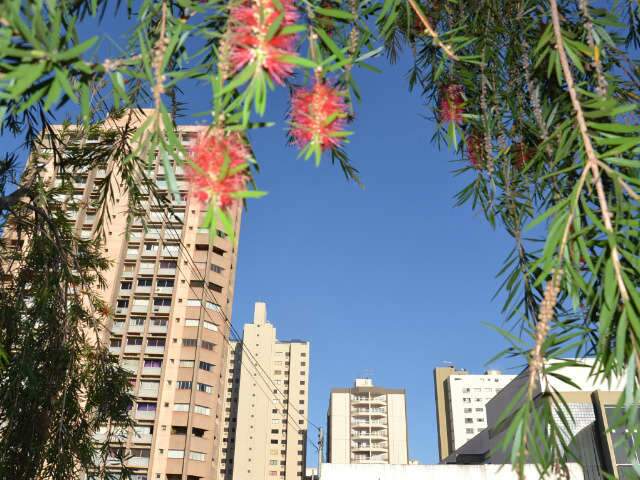 Campo Grande amanhece com 18&ordm;C e tem previs&atilde;o de chuva nesta 5&ordf; feira