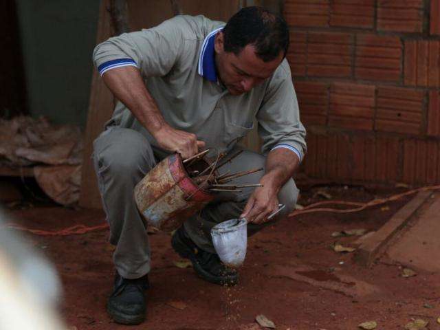 Mais de quatro mil pessoas travam guerra contra a dengue na Capital