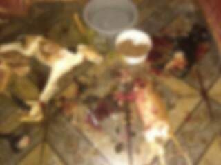 Cães foram mortos a facadas por um dos proprietários, que se entregou no dia seguinte. (Foto: Divulgação)
