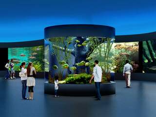 Centro de visitação terá tanques internos e externos e vão concentrar as atrações de base do Aquário do Pantanal.
