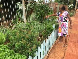 Plantas e temperos ajudam a família e aos vizinhos. (Foto: Thailla Torres)