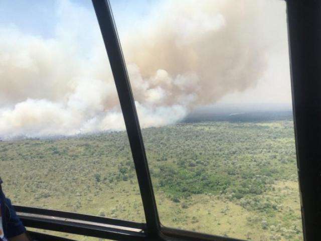 Agravado pelo tempo seco e ventos fortes, fogo devastou 80 mil hectares 