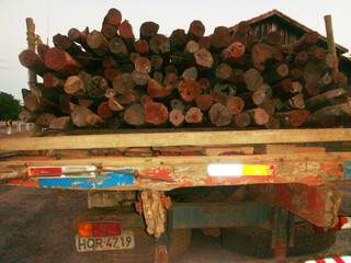O proprietário foi multado R$ 2,1 mil, por transportar 400 lascas de aroeira sem autorização ambiental. (Foto: divulgação)