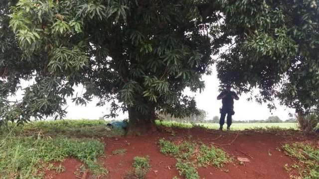 Jovem &eacute; encontrado morto embaixo de p&eacute; de manga