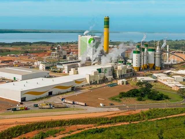 Empresa nacional deveria ficar com Eldorado, diz presidente do BNDES