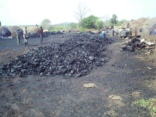  Ap&oacute;s apreens&atilde;o de lenha, PMA fecha carvoaria e multa em R$ 36 mil propriet&aacute;rio