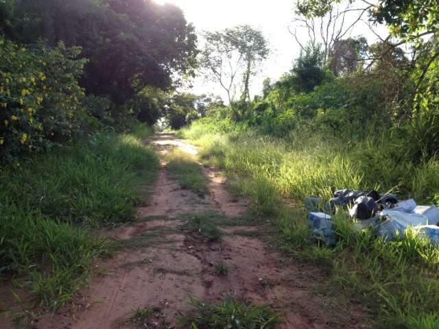 Leitor denuncia invas&atilde;o de rua pelo mato na vila Carlota