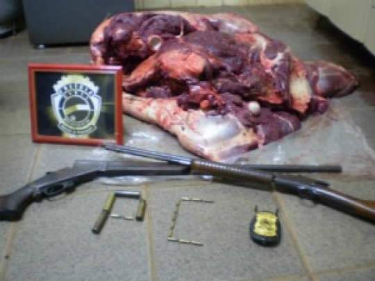  Pol&iacute;cia apreende 100 kg de carne de anta e prende cinco em assentamento