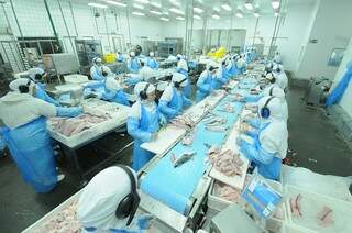 Indústria de alimentos criou 209 novas vagas em maio. (Foto: Divulgação)