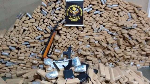 Produ&ccedil;&atilde;o segue intensa e DOF ret&eacute;m 16 toneladas de maconha em 3 meses