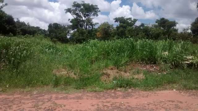 Moradores limpam por conta pr&oacute;pria terrenos baldios no Jardim Columbia