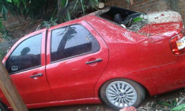 Chuva de granizo e ventos de mais de 50 km/h derrubam estruturas e &aacute;rvores 