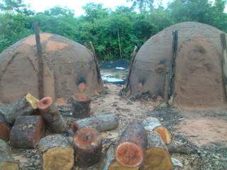 A carvoaria funcionava com 10 fornos sem autorização do órgão ambiental. (Foto: Divulgação)