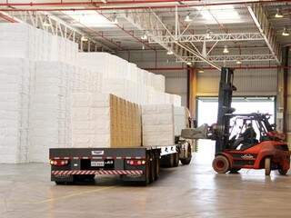 Celulose e papel está entre os grupos responsáveis pelo maior volume de exportação de MS. (Foto: Divulgação: Fiems)