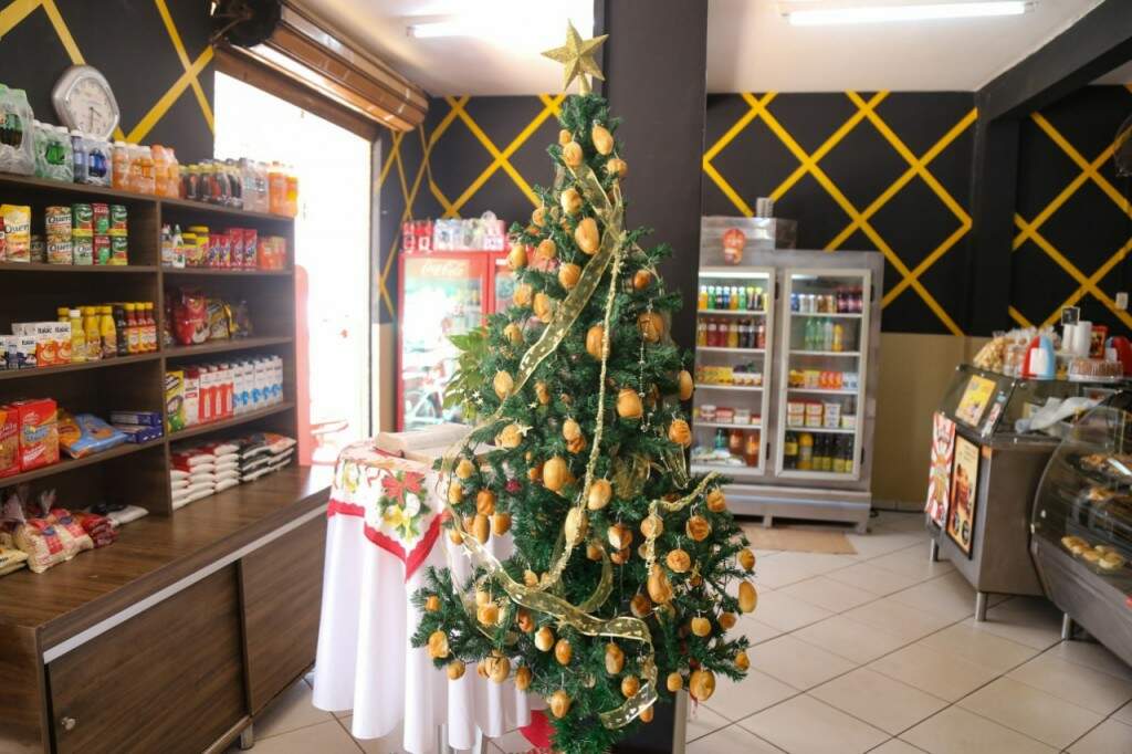 Na casa de Jackeline e Heitor, árvore de Natal tem história e superpoderes  - Comportamento - Campo Grande News