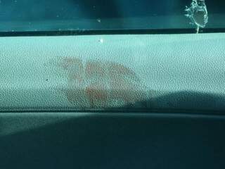 Marcas de sangue e tiro na porta do carro da vítima. (Foto: André Bittar)