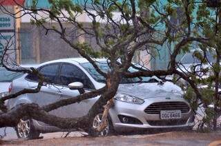 Ford Fiesta atingido por galho que caiu com o vento de 12 km por hora nesta quarta em Dourados (Foto: Eliel Oliveira)